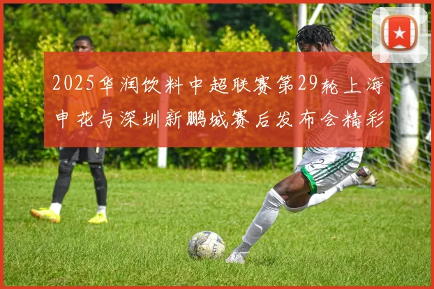 2025华润饮料中超联赛第29轮上海申花与深圳新鹏城赛后发布会精彩回顾与分析